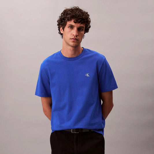 Remera calvin klein oversize