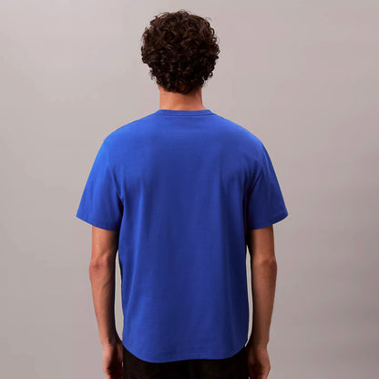 Remera calvin klein oversize